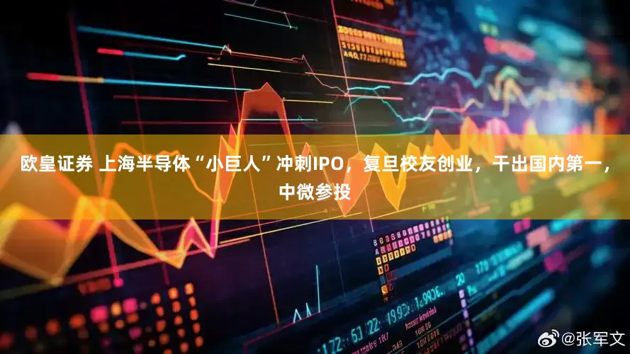 欧皇证券 上海半导体“小巨人”冲刺IPO，复旦校友创业，干出国内第一，中微参投