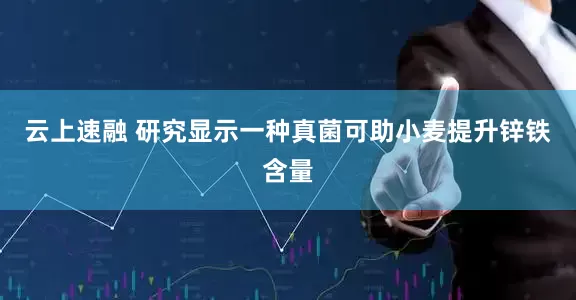 云上速融 研究显示一种真菌可助小麦提升锌铁含量