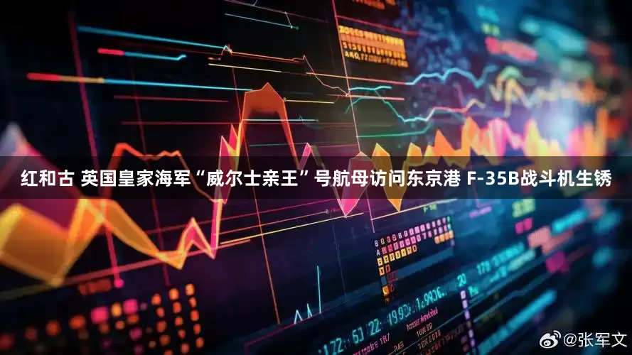 红和古 英国皇家海军“威尔士亲王”号航母访问东京港 F-35B战斗机生锈