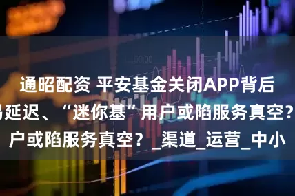 通昭配资 平安基金关闭APP背后：替代通道交易延迟、“迷你基”用户或陷服务真空？_渠道_运营_中小